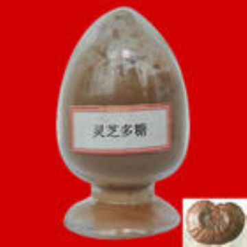  Ganoderma Lucidum Polysaccharide